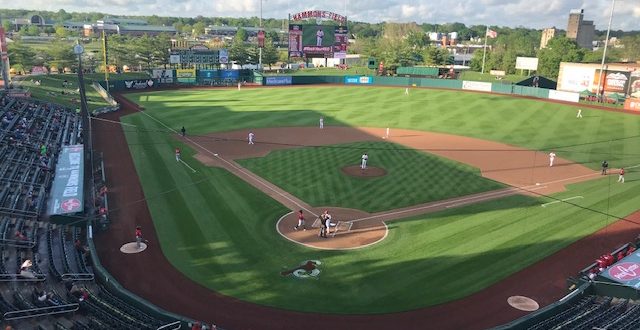 Springfield Cardinals Baseball