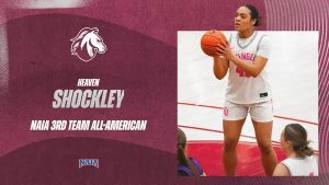 shockley all american