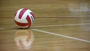 volleyball picture